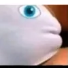 __cameltoe__