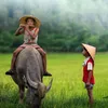 Đời Sống Việt