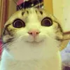 khnhzie212