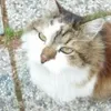 beatrixoswald