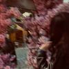 zm_0017