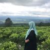 lesmiamelya