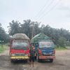 galihgalih8529