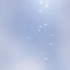 user7004552663662