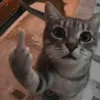 lalalakehd