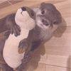 elene_1737