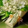 farha_f66