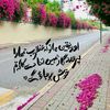 tahreemimran162