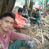 nielarlamorin