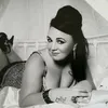 www.tiktoklioness