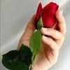 khawlaalharb
