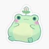 anityfrog0