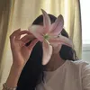 _im.mari4_