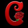 user9933600059553