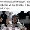 davidmendezmend17