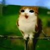 user_user_user013