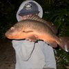 cs_fisho