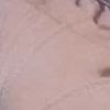 kimlz.fv