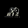 B12
