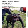 akunquotes01