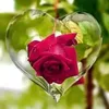 userl2fqd8mahk