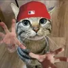 _nonamemeow