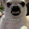 cghnnmmkk