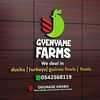 gye_nyame_farms