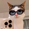 hiba.abdu.6