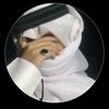 mhzaam.qatar22