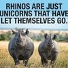 rhyno445