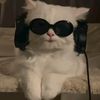 meowmewonigga