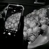 .avarka0