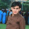 sheraliafridi568