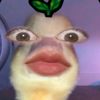 user369393581