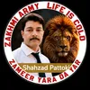 sheikhshahzadsaeed