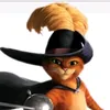gato_2521