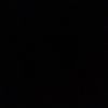 nesin024