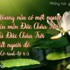 14thanh2003