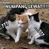 deddy.likeb.kl