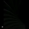 hernan.tiktok.com