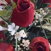 maryy2441