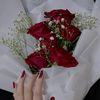 maryamalmahri330