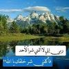 karimsait2