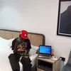 godisworkingbro00