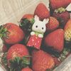 five_raa