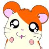 ndr.mohamed