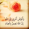 shahd.mohamad00