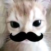 lu_ks93