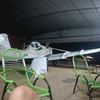 orteguita_22